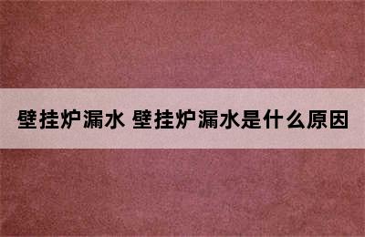 壁挂炉漏水 壁挂炉漏水是什么原因